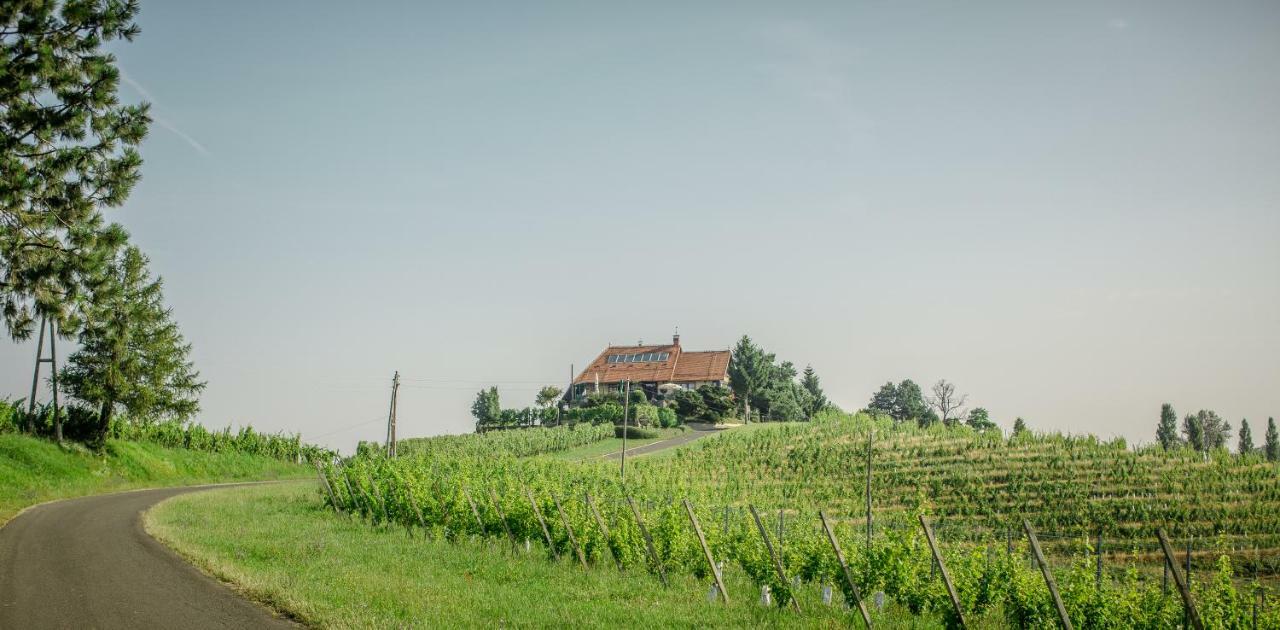 Taverna & Wine Jeruzalem Ivanjkovci Exterior foto